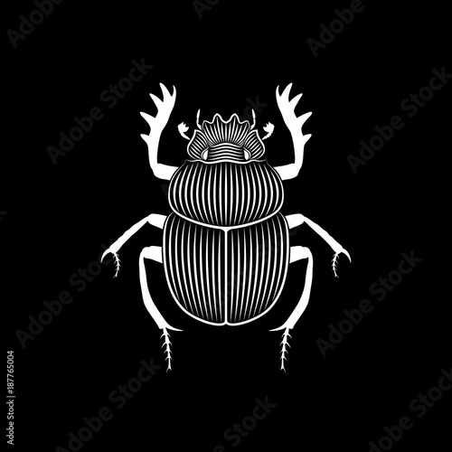 Graphic illustration of scarab engraved on black background