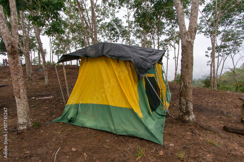 Green and Yellow tent in the jungle with trees in between.