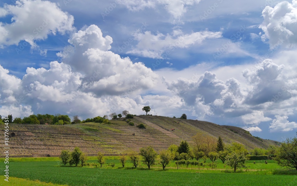 Obraz premium Neckartal