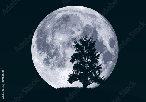 lune - clair de lune - paysage - arbre - sapin - fond - ciel - rêve - nuit - nocturne - hibou photo