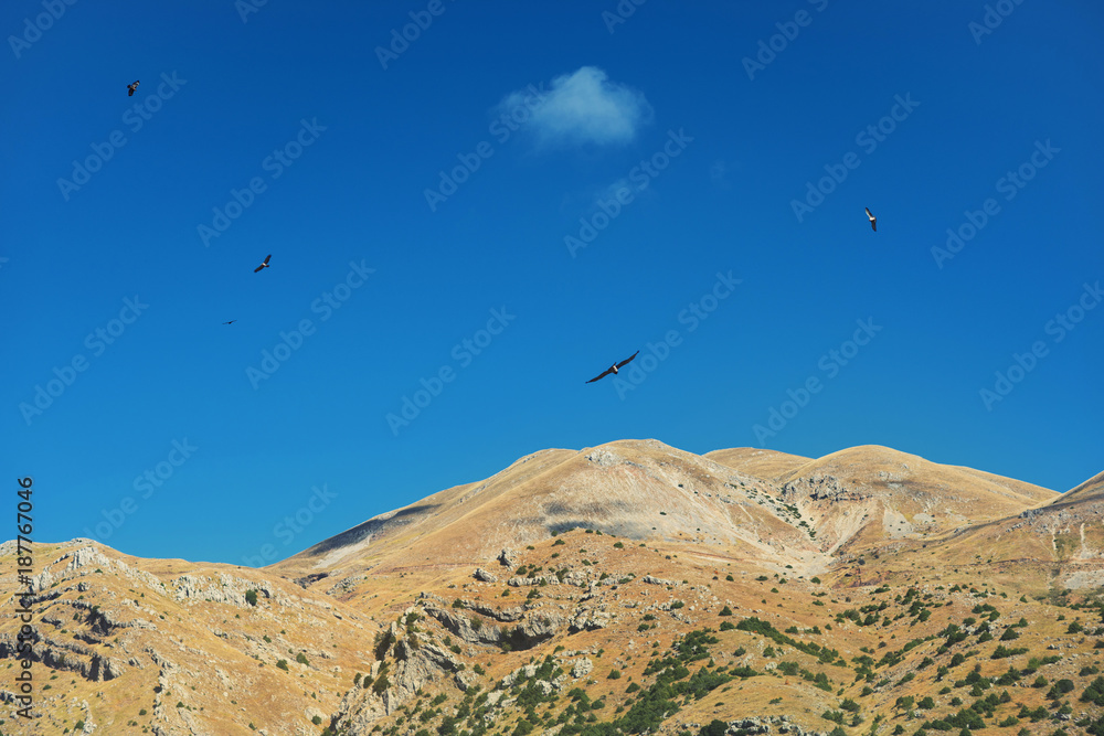 Landscape of mountain and sky. Birds eagle flying above mountain. Landscape of mountain and sky. Birds eagle flying above mountain.