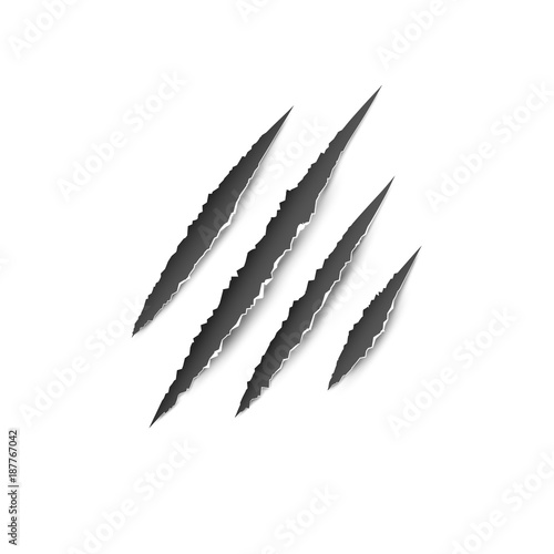 Claws paw scratches isolated vector on white background. Animal Claws horror scratch tiger, lion or bear