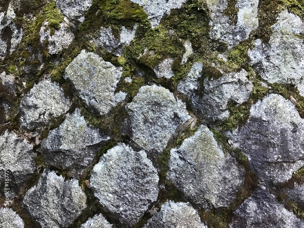 Granite stone wall with green moss