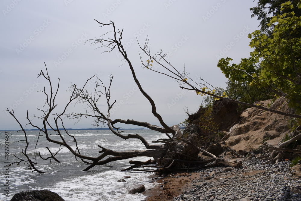 Küstenabbruch an der Steilküste Jasmund-Rügen Küstenabbruch an der Steilküste Jasmund-Rügen