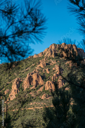 Massif de l'Esterel mit rotem Porphyr Gestein und Kiefern