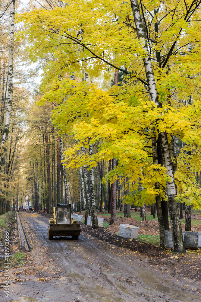 Naklejka premium Pekhorka Eco Park