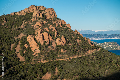 Massif de l'Esterel mit rotem Porphyr Gestein und Kiefern