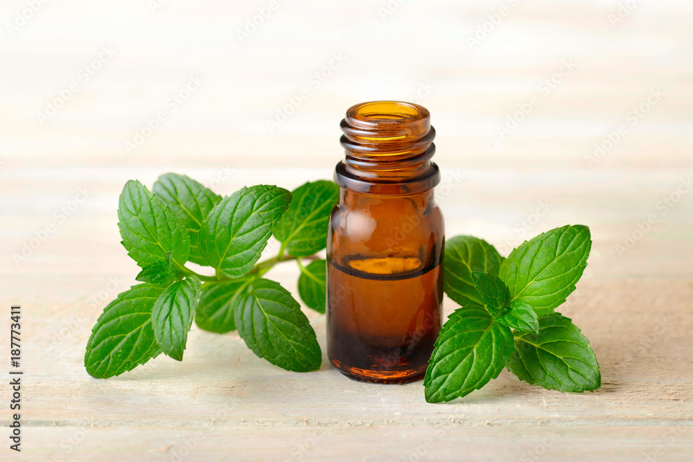 fresh peppermint leaves and Peppermint essential oil in the amber glass bottle fresh peppermint leaves and Peppermint essential oil in the amber glass bottle