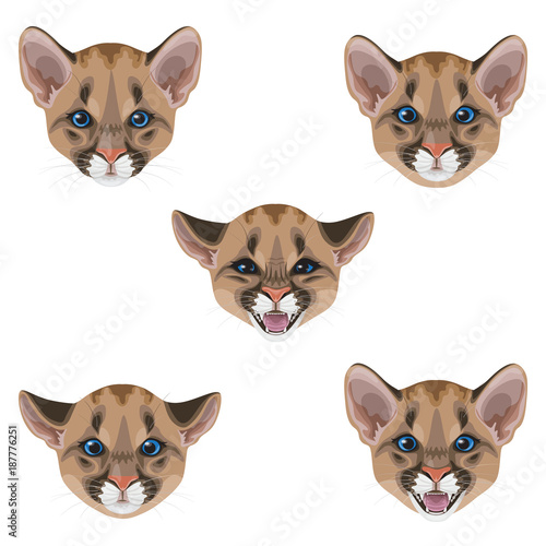 Little Puma Muzzle Set