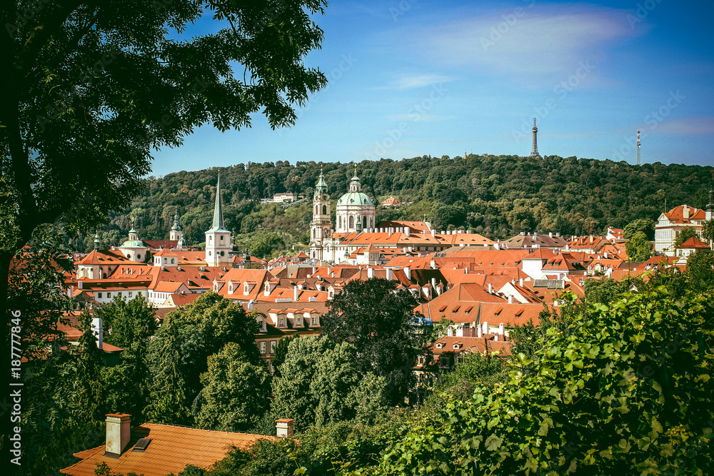 Beautiful view on the old town Praha, roofs and green trees in summertime.