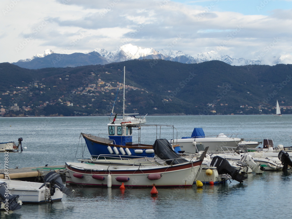 bateau de pêche dans le port de Portovenere, Italie