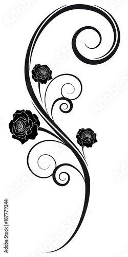 beautiful roses wall tattoo