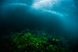Underwater view of the coral reef in a shore with breaking waves