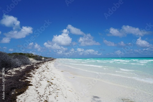Strand auf Cayo Coco  Jardines Del Rey auf Kuba   Karibik