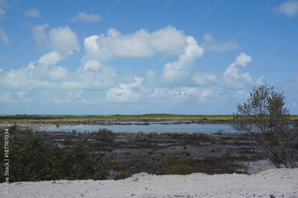 Mangroven Lagune auf Cayo Coco, Jardines Del Rey, Kuba, Karibik