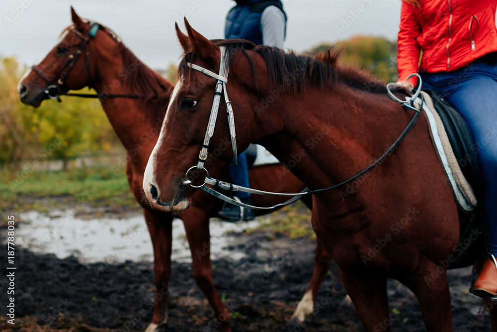 young couple in a Russian village with horses, riding young couple in a Russian village with horses, riding