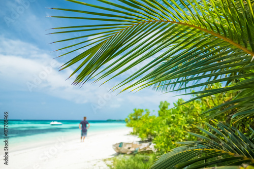 Man stands on the tropical beach. Focus on the palm tree leaf. Maldives