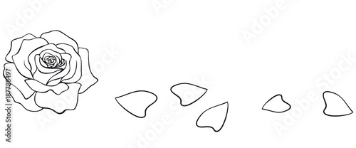 red rose blossom loses petals coloring page