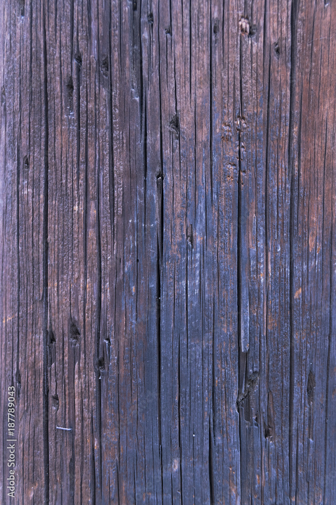 Fototapeta premium Wood texture exposed to the climate, natural lines detail.