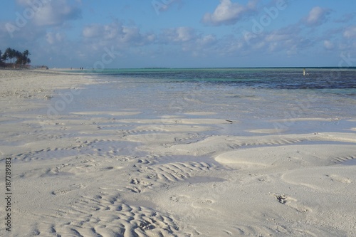 Cayo Coco  Jardines Del Rey auf Kuba   Karibik