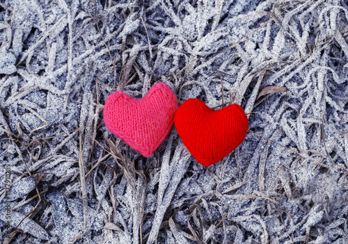 two knitted hearts pink and red lie on last year s grass covered with white beautiful frosty icicles