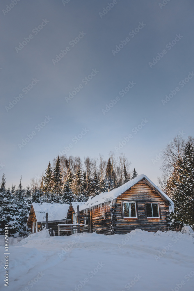 Canadian Round Log Wood Shack during Winter Canadian Round Log Wood Shack during Winter