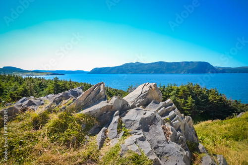 NEWFOUNDLAND / CANADA - AUGUST 2014: SUMMER AT NEWFOUNDLAND