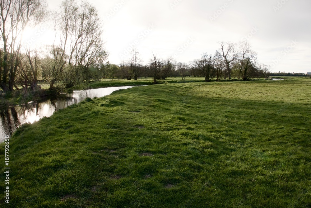 River Waveney, Outney Common, Suffolk, England River Waveney, Outney Common, Suffolk, England
