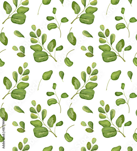 Vector Seamless greenery patten background floral watercolor style paint with falling green forest maidenhair fern herb leaves. Botanical elegant nature decorative wallpaper paper print isolated white