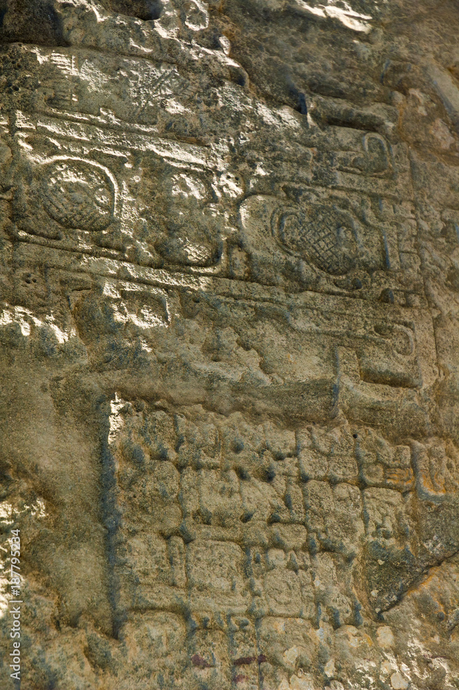 Peten, Tikal National Park. It was inhabited since the 6th century BC. Until the 10th century AD. Its ceremonial center includes magnificent temples and palaces. Peten, Tikal National Park. It was inhabited since the 6th century BC. Until the 10th century AD. Its ceremonial center includes magnificent temples and palaces.