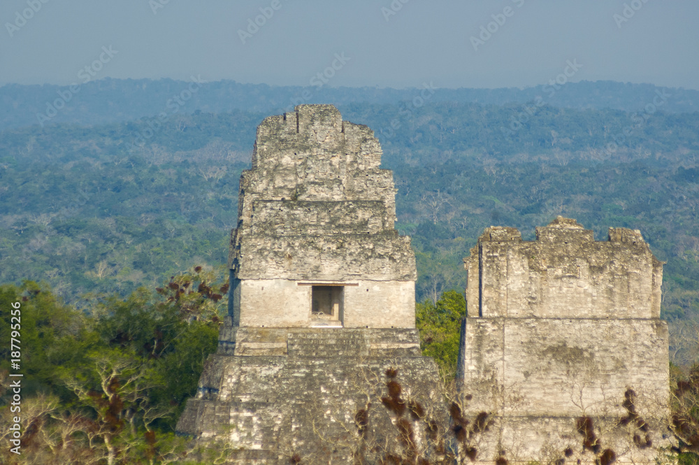 Panoramic of Tikal pyramids Gran Jaguar in Peten, Guatemala. Mayan culture.