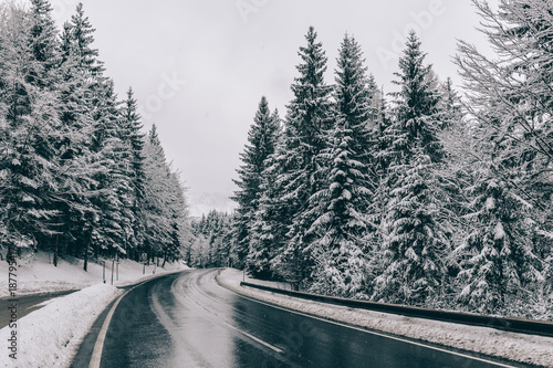 Windig road. Winter road through forest. Snow covered trees. © Laszlo