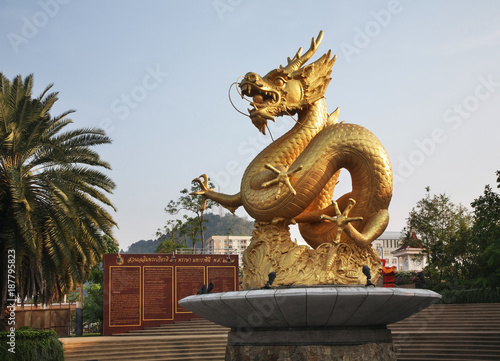Golden Dragon at 72nd Anniversary Queen Sirikit park. Phuket town. Phuket province. Thailand © Andrey Shevchenko