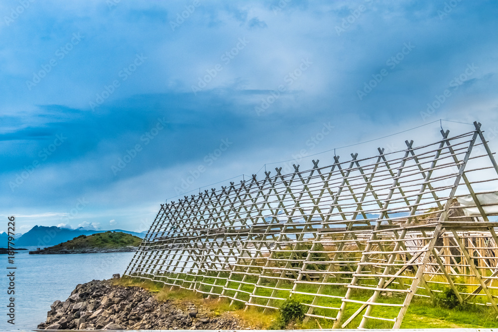 Fototapeta premium Stockfish drying flake (hjell), Henningsvaer, Lofoten Islands, Nordland, Norway. 