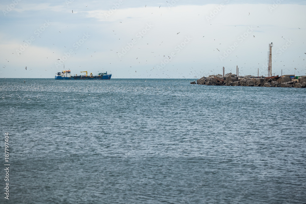 Ship and seagulls in the sea, port of Poti, Georgia