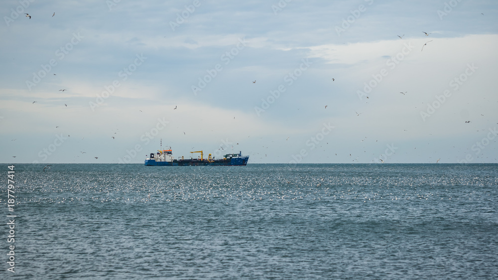 Ship and seagulls in the sea, port of Poti, Georgia