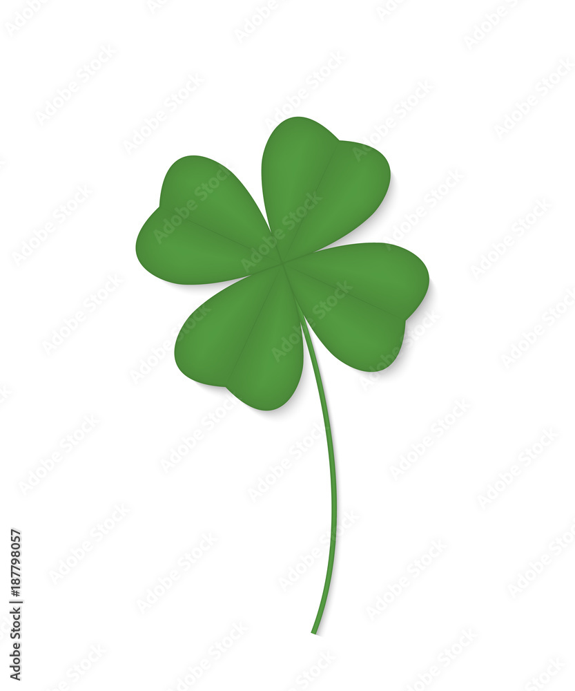 Four-leafed clover isolated on white background. Vector illustration