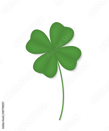Four-leafed clover isolated on white background. Vector illustration