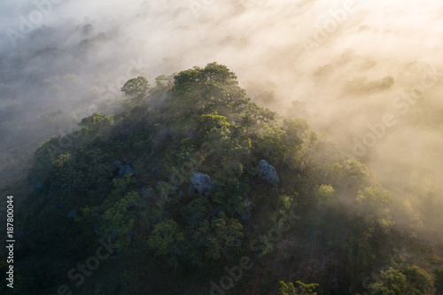 Floresta virgem de miombo ao longo do Cubango de madrugada vista do ar. Angola photo