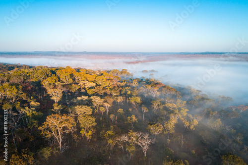 Floresta virgem de miombo ao longo do Cubango de madrugada vista do ar. Angola