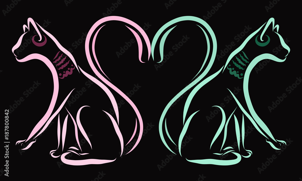 Loving cats and heart from tails Loving cats and heart from tails