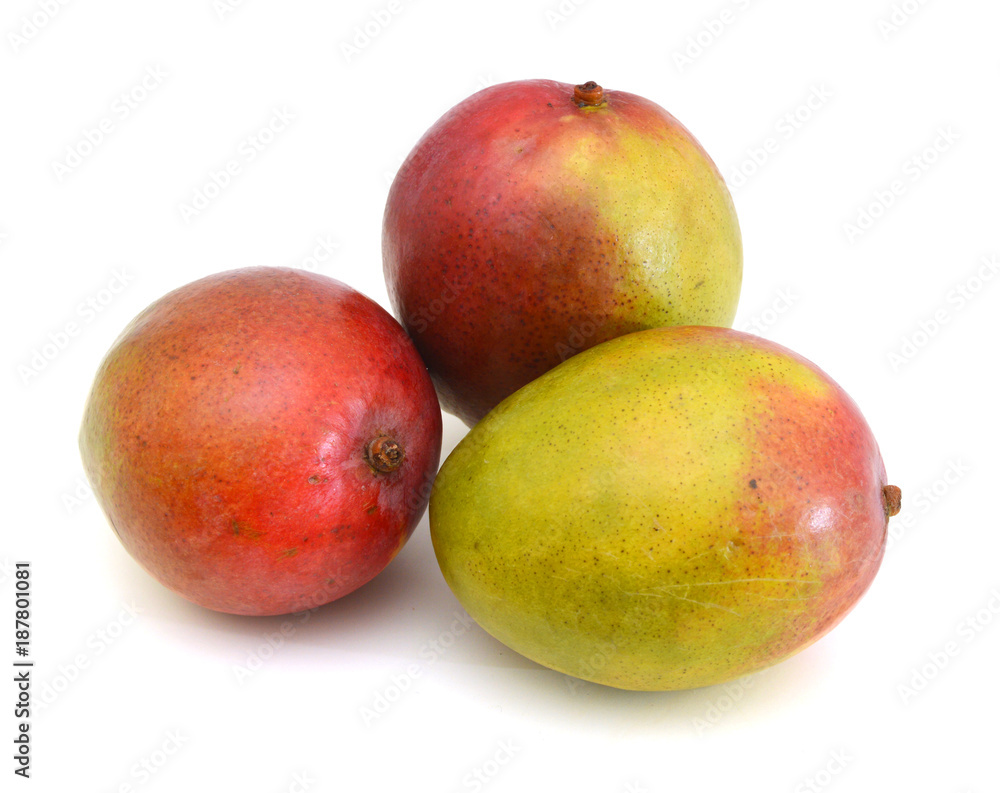 Mango fruit isolated on white background Mango fruit isolated on white background