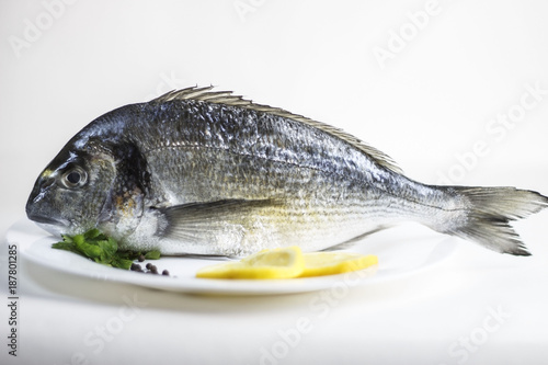 Fresh, raw, uncooked whole dorado fish or sea bream with lemon slices and parsley