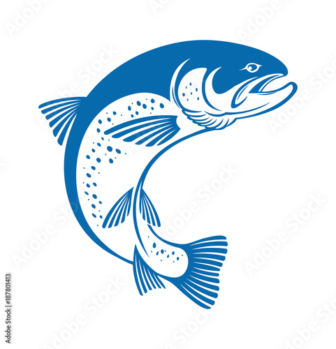 trout  fish
