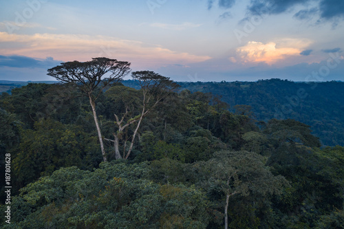 Floresta tropical de escarpa na província do Záire, Angola photo