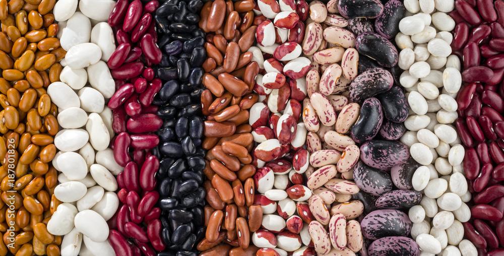 A set of various kidney beans. - obrazy, fototapety, plakaty 