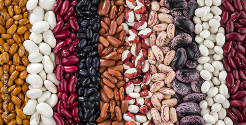 A set of various kidney beans.