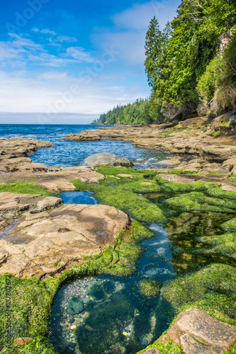Hiking the rugged Juan de Fuca Marine Trail through wonderful beaches and ancient forests along the southwestern coast of Vancouver Island, British Columbia, Canada photo