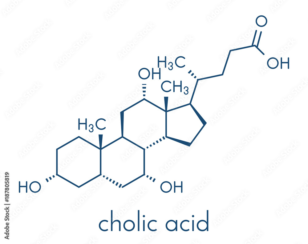 Cholic acid (cholate) molecule. Main bile acid component. Skeletal formula. Cholic acid (cholate) molecule. Main bile acid component. Skeletal formula.