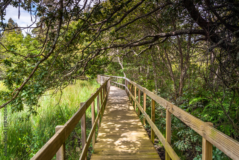 Obraz premium Passadiços de Bertiandos 